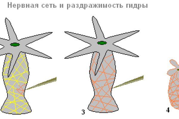 Как зайти на kraken в 2024