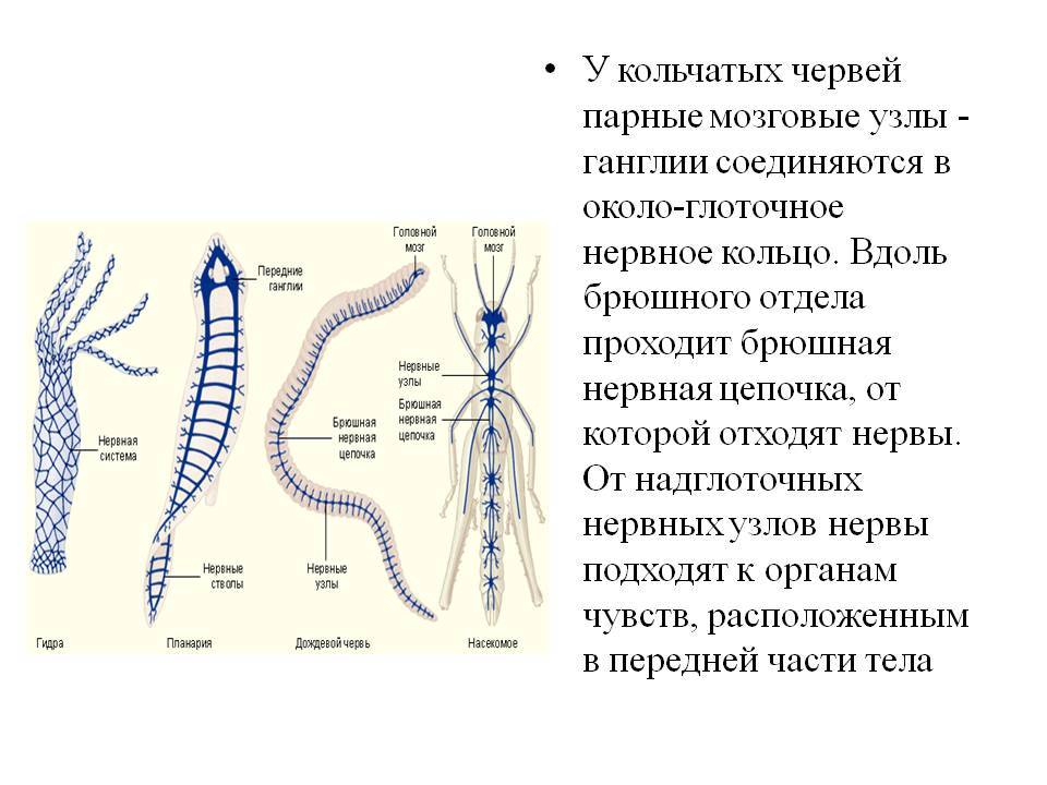 Вход кракен